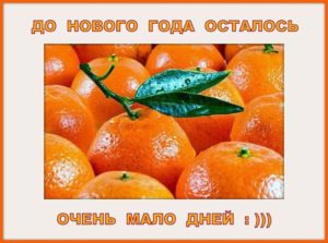 предновогоднее настроение