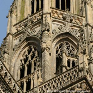 рыбий пузырь окно