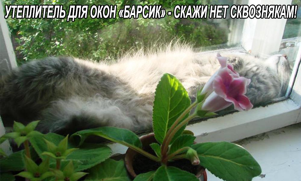 Днем, картинки приколы с окнами